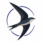 aerodramus.co.za